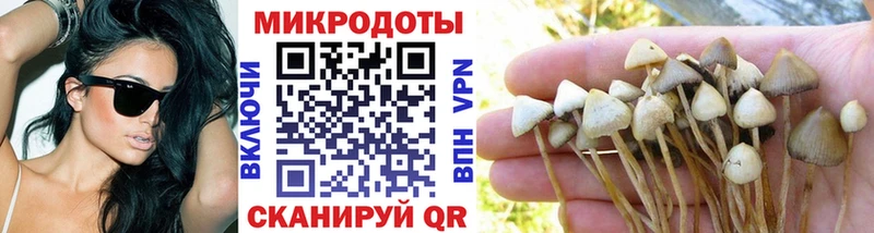 Псилоцибиновые грибы мухоморы  купить  сайты  Тотьма 
